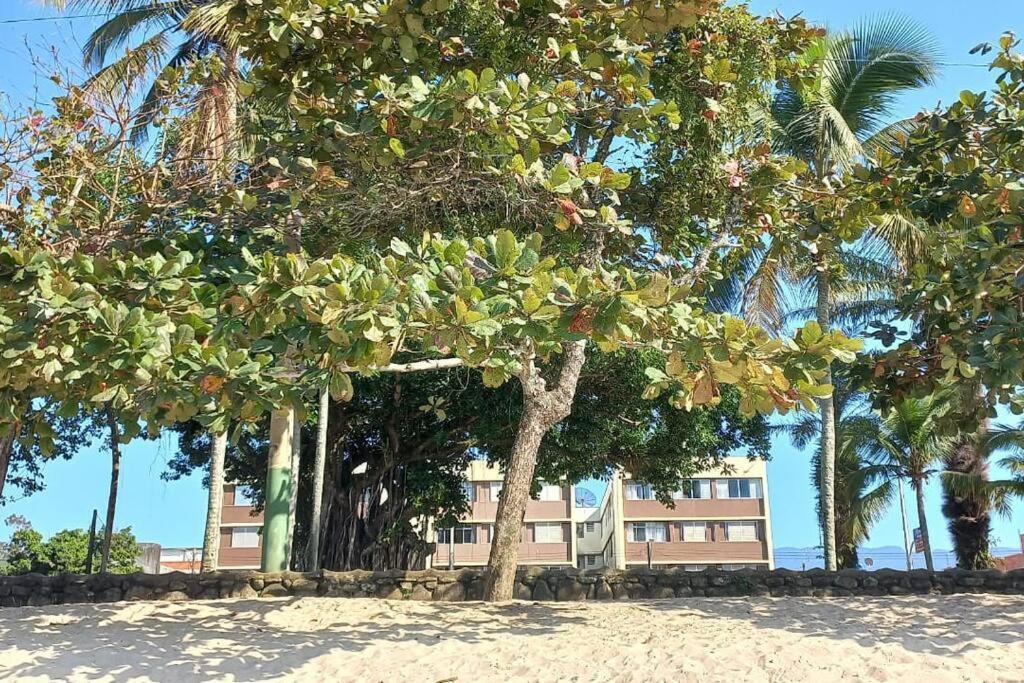 Apartment Com Vista Pro Mar No Centro De Ubatuba